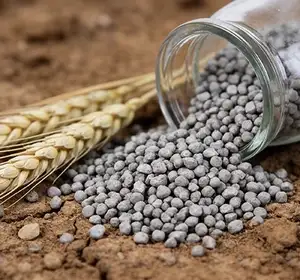 Ligne de production d'engrais phosphates